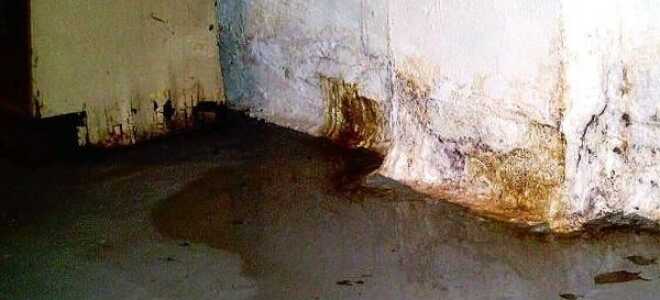 Как избавиться от сырости в гараже: что делать, чтобы просушить и устранить конденсат