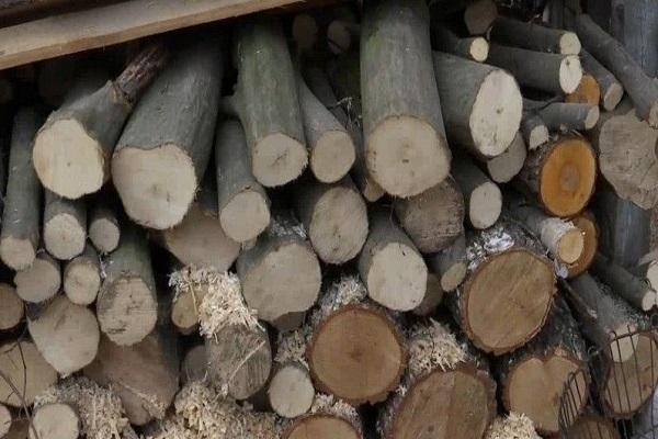 сложены дрова 