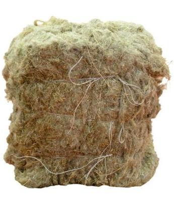 paklya